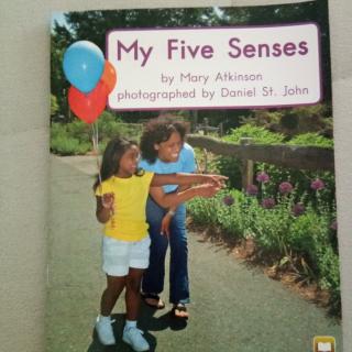 My  Five  Senses