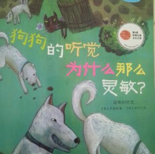 狗狗🐶的听觉为什么那么灵敏