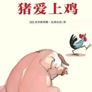绘本故事:猪爱上鸡