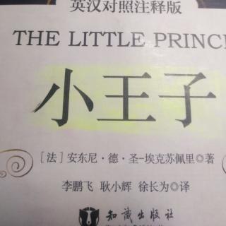 The   LittIe  Prince