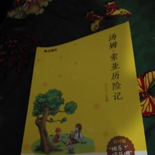 《汤姆、索亚历险记》