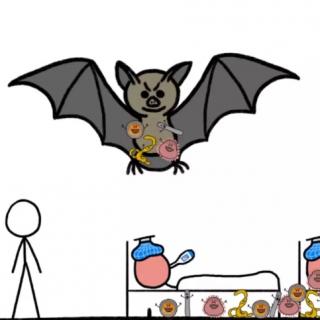 卡蒙加幼教集团吴老师—《疫情出现，是蝙蝠的错吗？》