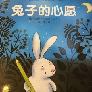 领世湖城幼儿园睡前故事《兔子的心愿》
