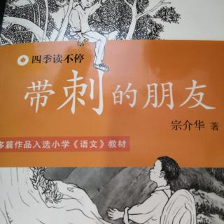 谁是“土包子”？