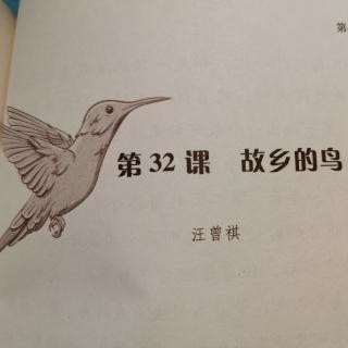 《故乡的鸟》