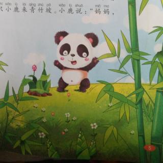 熊猫憨憨让竹笋