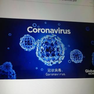 冠状病毒20200203