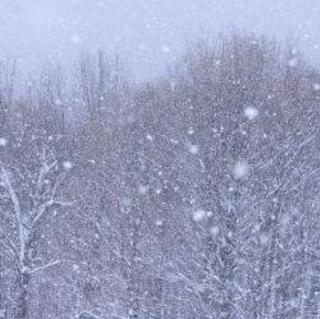 我的世界在飘雪