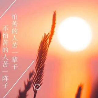 《三月桃花水》