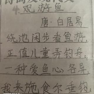 观游鱼拼音版图片