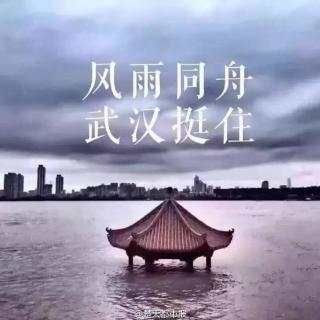 祖国在，武汉不会流浪