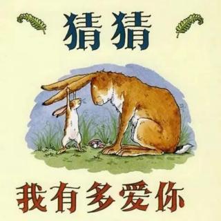 《猜猜我有多爱你》