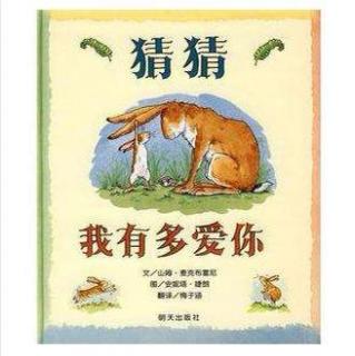 《猜猜我有多爱你》