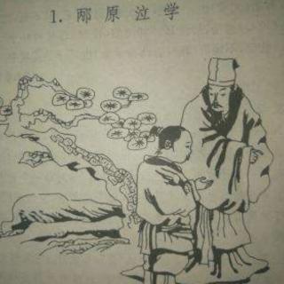 《邴原泣学》