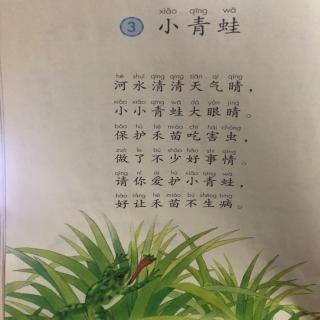 《小青蛙》课文朗读