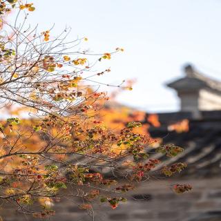 20200204《清平乐·村居》《西过渭水，见渭水思秦川》