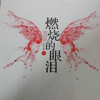 《燃烧的眼泪》我与琵琶有个约定二