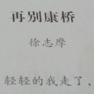 思儒读再别康桥