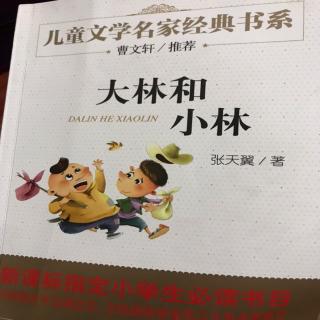 《大林和小林》十九章 乔乔和小林的消息