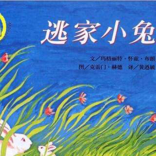 儿童绘本故事《逃家小兔》