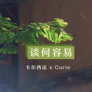 【卡尔西法xCurie】谈何容易