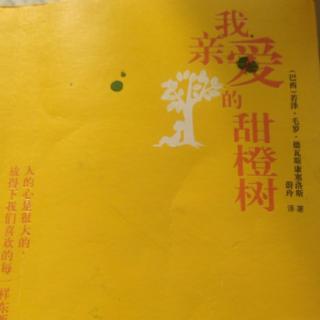 我亲爱的甜橙树小鸟学校花儿