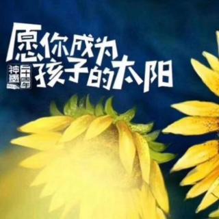 新教师培训技能讲解1