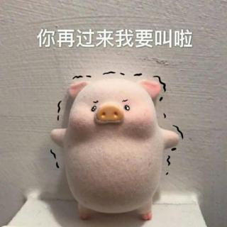 小鸭子得救了