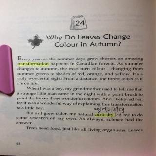 11-24 Why Do Leaves Change Colour in Autumn？