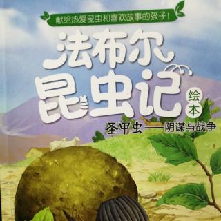 法布尔《昆虫记》：圣甲虫阴谋与战争