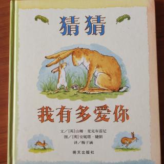 猜猜我有多爱你