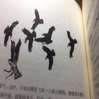 003《森林报》