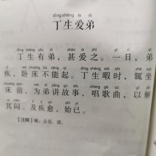 小古文：《丁生爱弟》