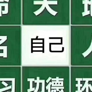 什么是数易文化？