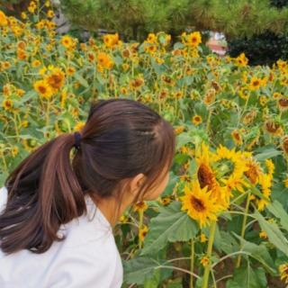 中吕.红绣鞋 作者 张养浩 诵读 朱哲群