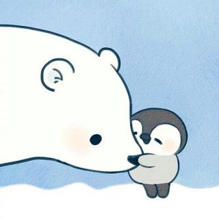 05绘本故事 | 小企鹅和北极熊