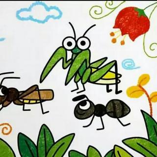 蚂蚁和螳螂