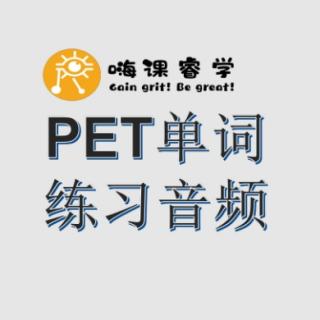 PET单词英译汉练习Day11