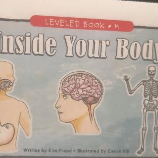 Inside Your Body
