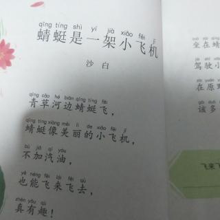 和大人一起读《蜻蜓是一架小飞机》