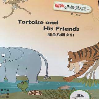 Tortoise and His Friends