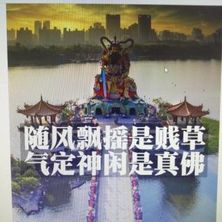 随风飘摇是贱草，气定神闲是真佛