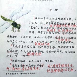 部编版三年级语文下册《昆虫备忘录》