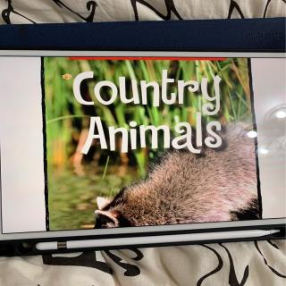 country animals