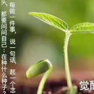 《因果法则》第一章