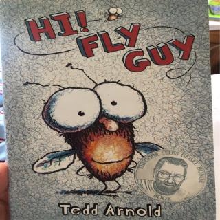 Hi！Fly Guy