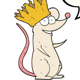 老鼠先生和王冠病
