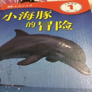 小海豚的冒险