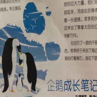 企鹅成长日记读播者杨瑞涵。