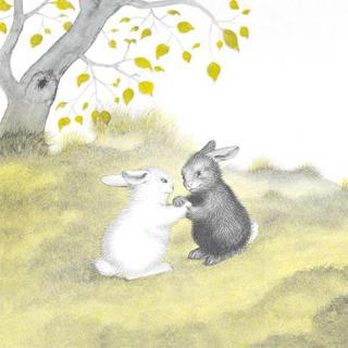 Aaron妈咪讲故事啦~黑兔和白兔